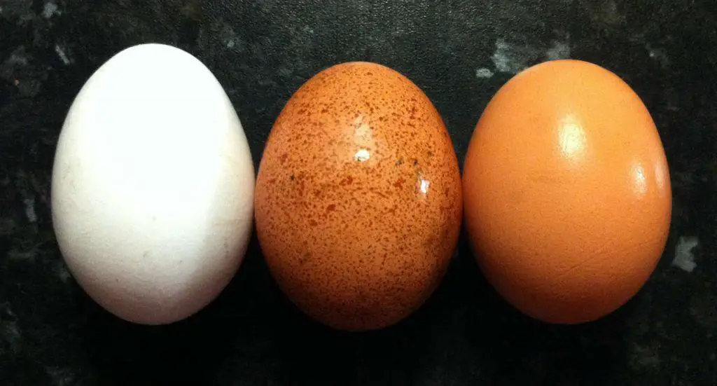 How many calories in egg How many calories in egg whites Nutritional benefits eggs | De Reviews