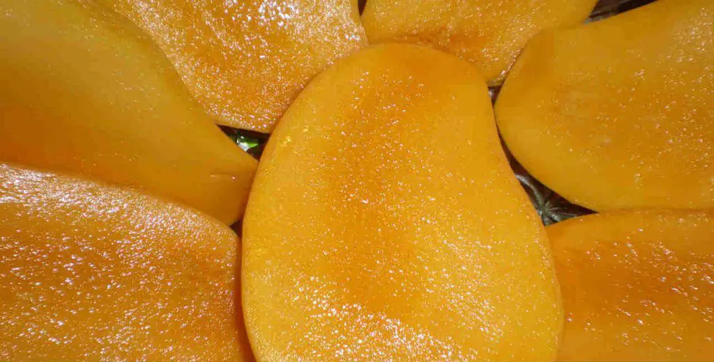 Mangoes health benefits Mango nutrition information Mango fruit benefit Mangos nutrition facts Health benefits mango fruit nbsp| DeReviews
