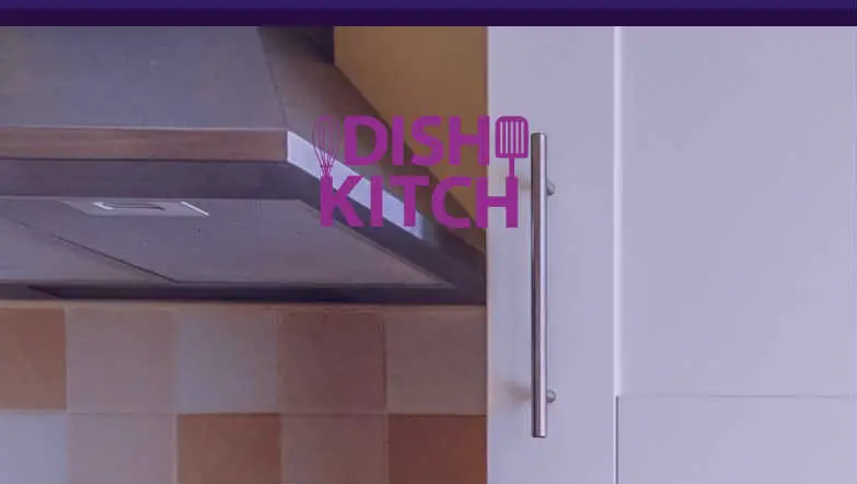 DishKitch complaints DishKitch fake or real DishKitch legit or fraud | De Reviews