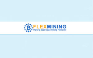 fleex mining review