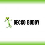 TheGeckoBuddy complaints TheGeckoBuddy fake or real TheGeckoBuddy legit or fraud | De Reviews