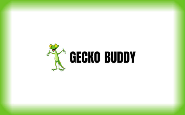 TheGeckoBuddy complaints TheGeckoBuddy fake or real TheGeckoBuddy legit or fraud | De Reviews