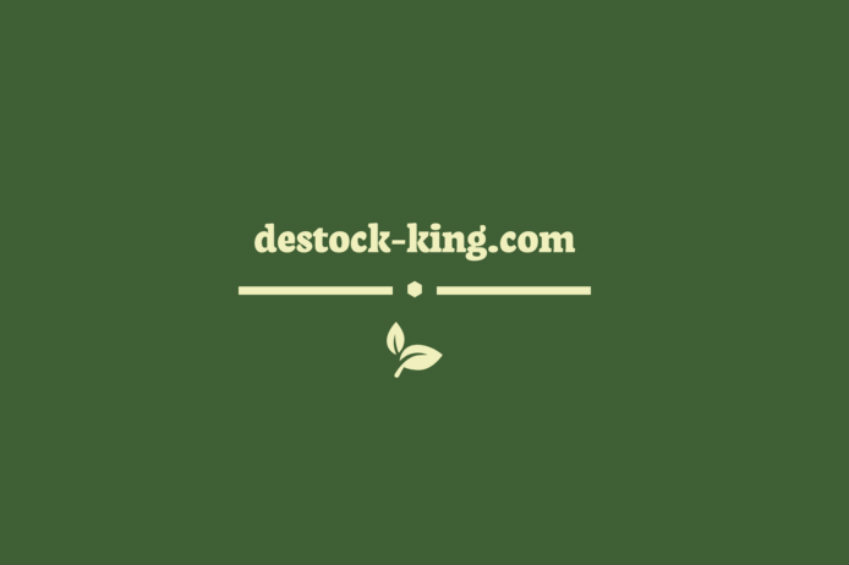 Destock King legit or fraud Destock King complaints Destock King fake or realnbsp| DeReviews