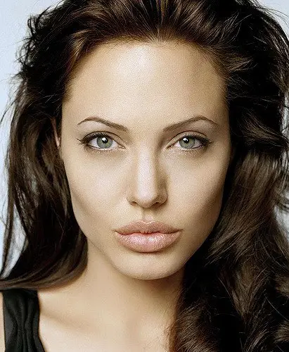 About actress Angelina Jolie and her contribution to the world | De Reviews