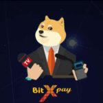 BitxPay complaints BitxPay fake or real BitxPay legit or fraud | De Reviews