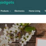 ThemGadgets complaints ThemGadgets fake or real ThemGadgets legit or fraud | De Reviews