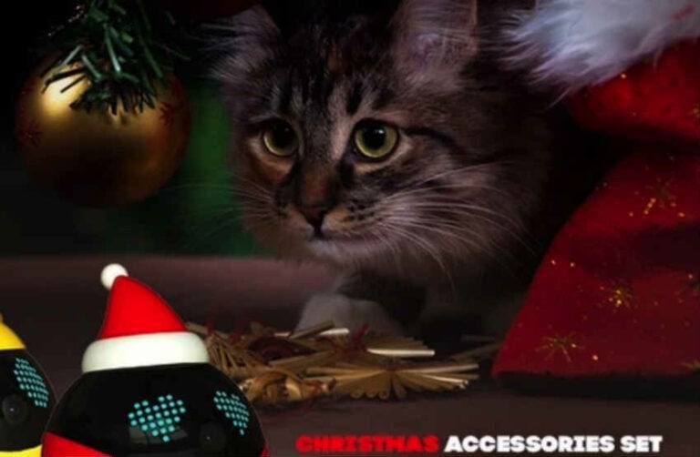 Arriba.Store Review Legit? Arriba Scam