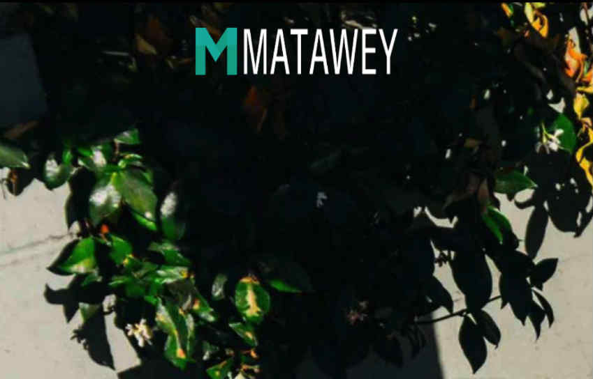 Matawey complaints. Matawey fake or real? Matawey legit or fraud?