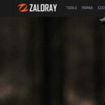 Zaloray complaints Zaloray fake or real Zaloray legit or fraud | De Reviews