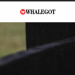 Whalegot complaints Whalegot fake or real Whalegot legit or fraud | De Reviews