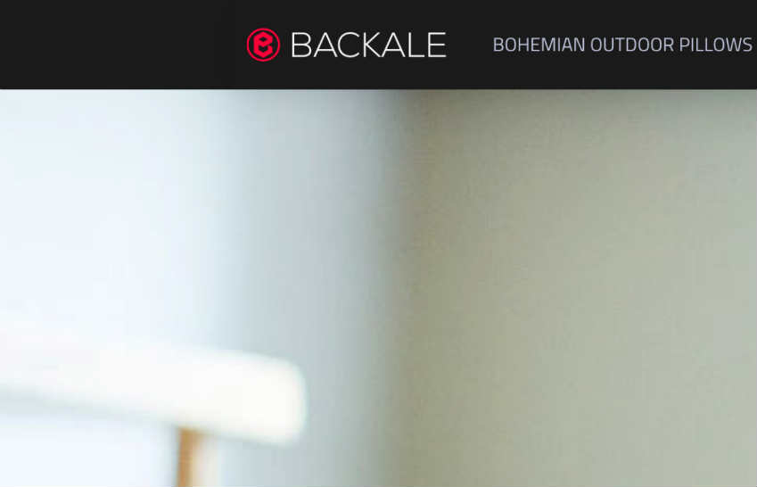 Backale complaints Backale fake or real Backale legit or fraudnbsp| DeReviews