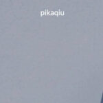 Pikaqiu Store complaints Pikaqiu Store fake or real Pikaqiu legit or fraud | De Reviews