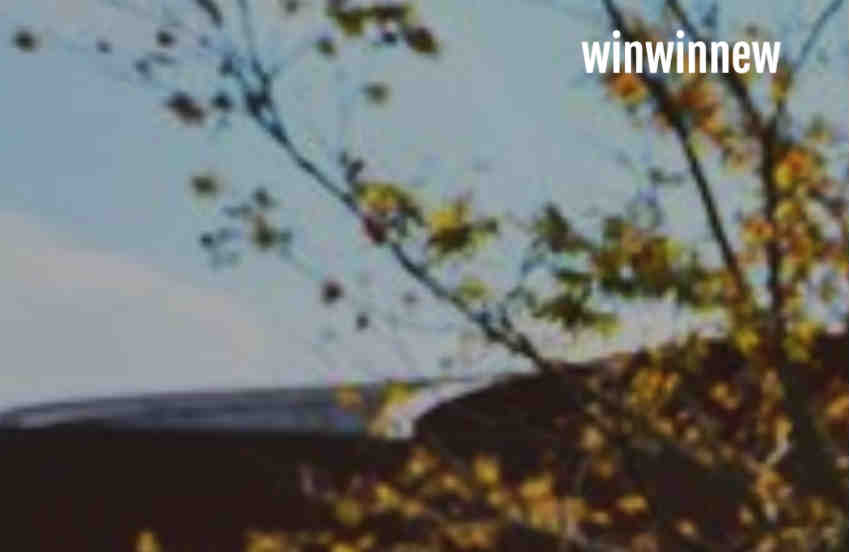 Winwinnew complaints Winwinnew fake or real Winwinnew legit or fraud | De Reviews