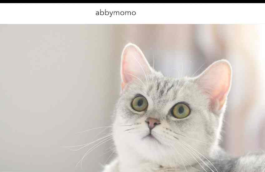 Abbymomo complaints Abbymomo fake or real Abbymomo legit or fraudnbsp| DeReviews
