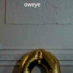 Oweye complaints Oweye fake or real Oweye legit or fraud | De Reviews