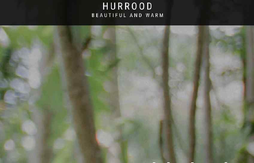 Hurrood complaints Hurrood fake or real Hurrood legit or fraud | De Reviews