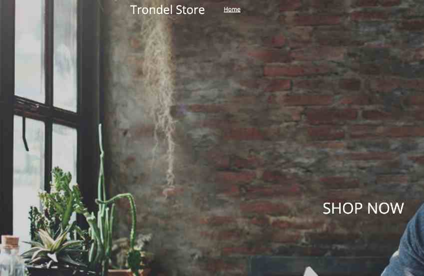 Trondel Store complaints Trondel Store fake or real Trondel Store legit or fraud | De Reviews