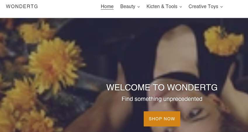 Wondertg complaints Wondertg fake or real Wondertg legit or fraud | De Reviews