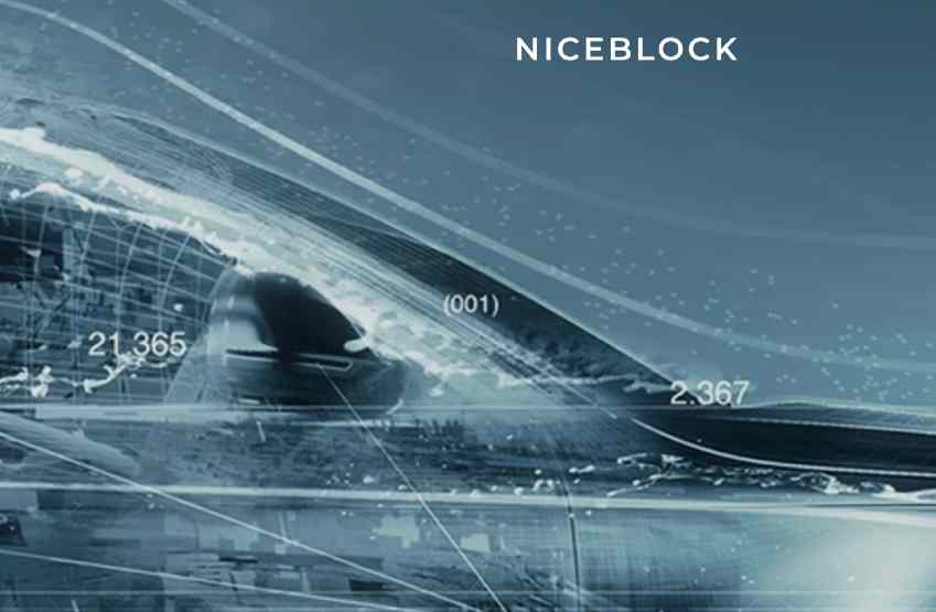NiceBlock Store complaints NiceBlock Store fake or real NiceBlock legit or fraud | De Reviews