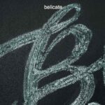 Belicate complaints Belicate fake or real Belicate legit or fraud | De Reviews