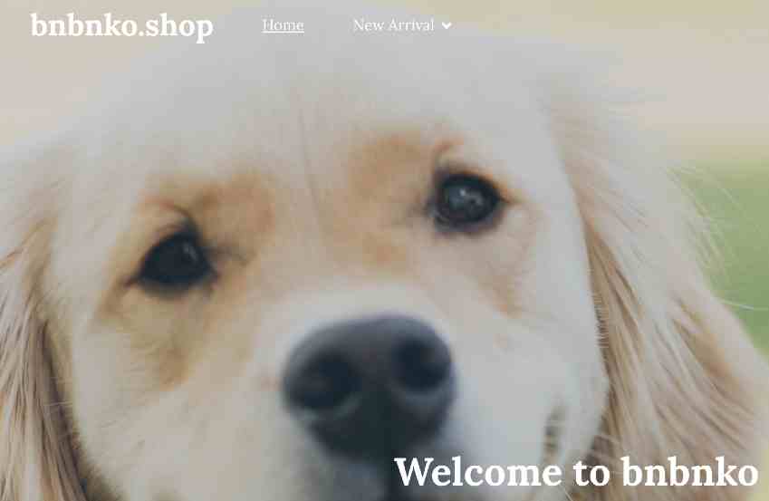 Bnbnko Shop complaints Bnbnko Shop fake or real Bnbnko Shop legit or fraudnbsp| DeReviews