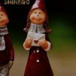 Shinego complaints Shinego fake or real Shinego legit or fraud | De Reviews
