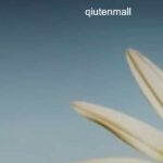 Qiutenmall complaints Qiutenmall fake or real Qiutenmall legit or fraud | De Reviews