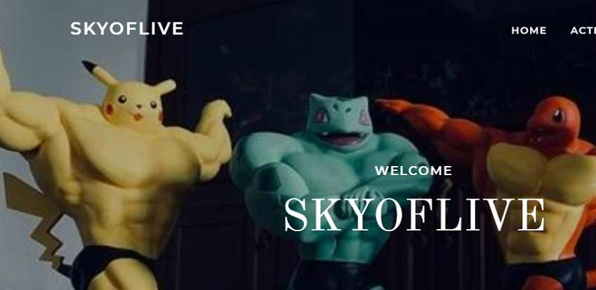 Skyoflive complaints Skyoflive fake or real Skyoflive legit or fraud | De Reviews