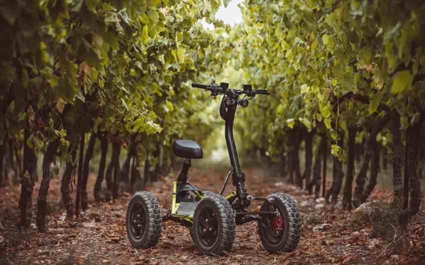 JanuaryHomey Site complaints fake or real?