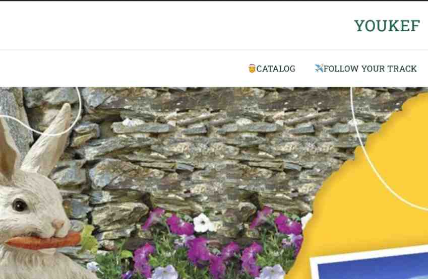 Youkef complaints fake or real?