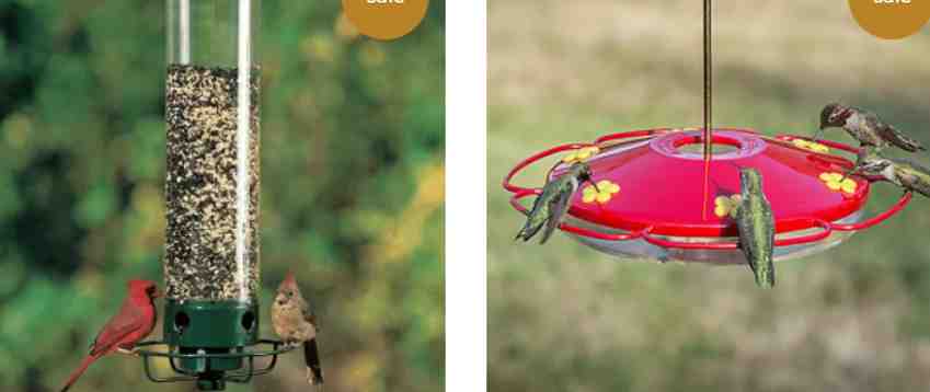 Acsthper complaints fake or real?