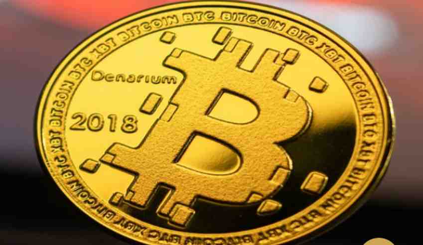 Jokermoon Finance complaints. Jokermoon Finance fake or real? Legit or Fraud?