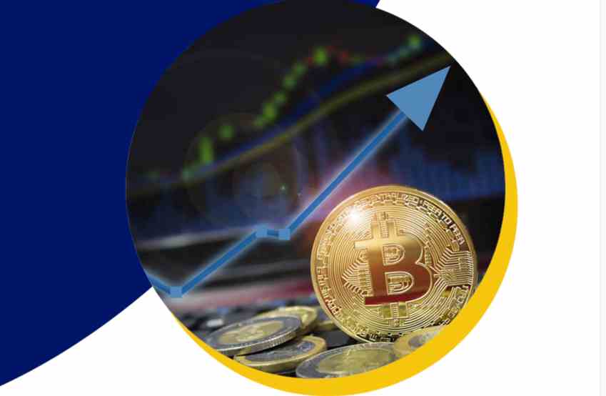 Vestingerfx complaints fake or real?