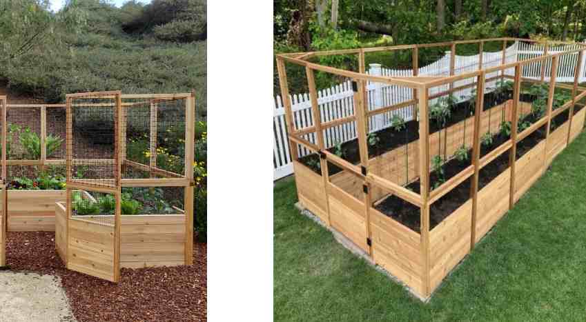 Bjhrdef Online complaints fake or real?