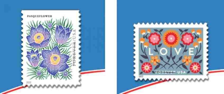 Stampip Scam Or Genuine Stampip Review | De Reviews