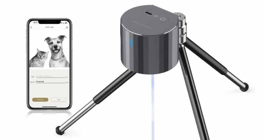 Wsenee Genuine or Scam? Legit? Wsenee.com Review