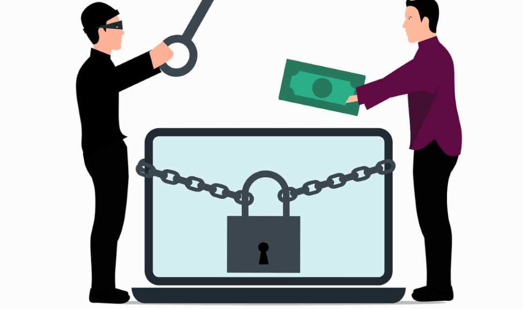 Theybusca Scam or Genuine? Legit? Theybusca Review