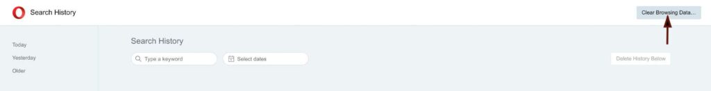 Clear Browser History and Cookies in Opera 2 | De Reviews