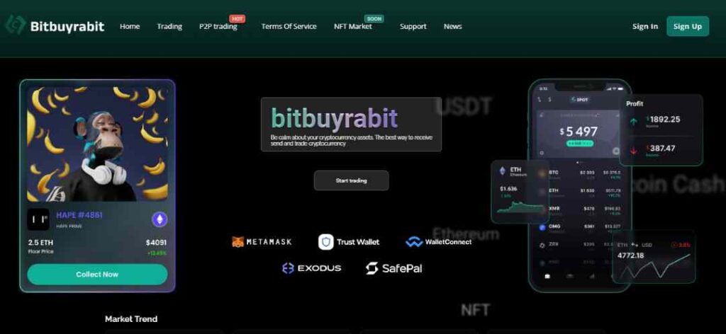 Bitbuyrabit Scam Or Genuine? Bitbuyrabit Review.