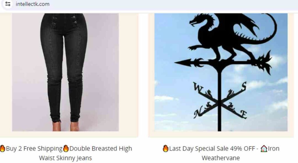 Intellectk Scam Or Genuine? Legit? Intellectk Review.