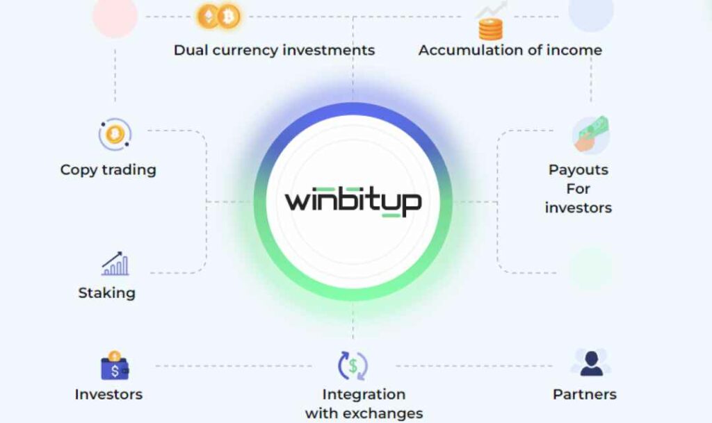 Winbitup Scam Or Genuine Winbitup Review | De Reviews