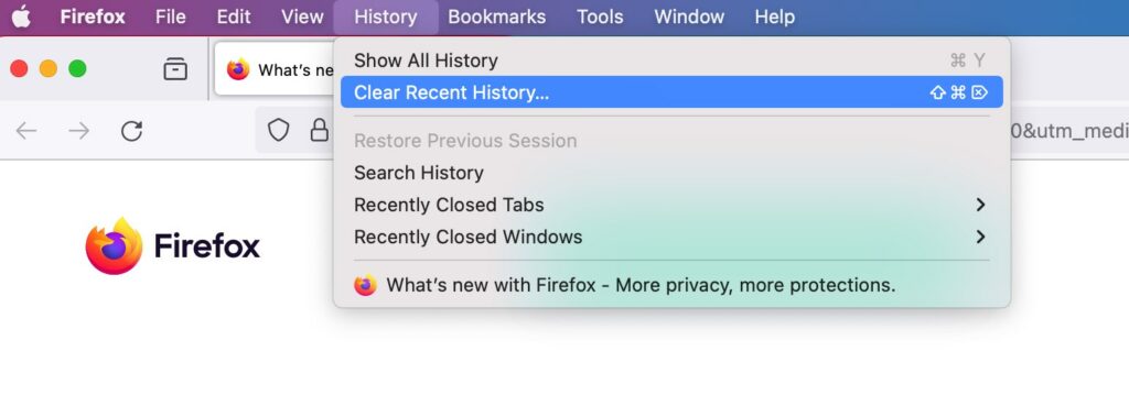 Clear Browser History and Cookies in Firefox 1 | De Reviews