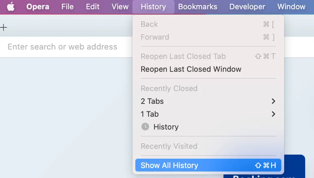 Clear Browser History and Cookies in Opera 1 | De Reviews