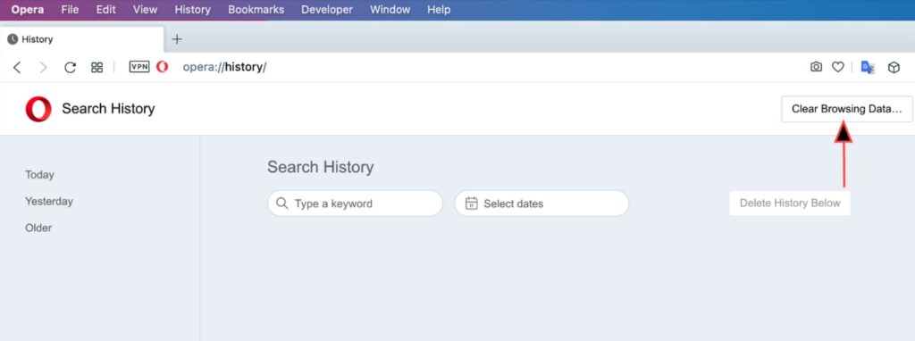 Clear Browser History and Cookies in Opera 2 | De Reviews