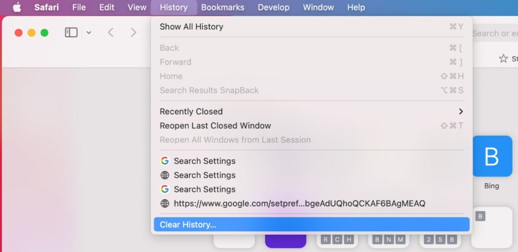 Clear Browser History of Safari 1 | De Reviews