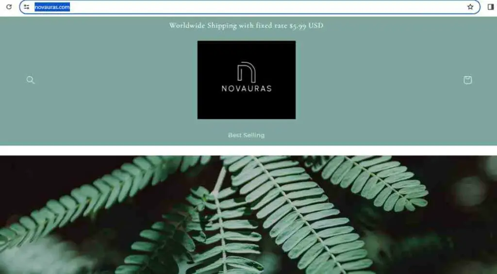 Novauras Scam Or Genuine Novauras Review | De Reviews