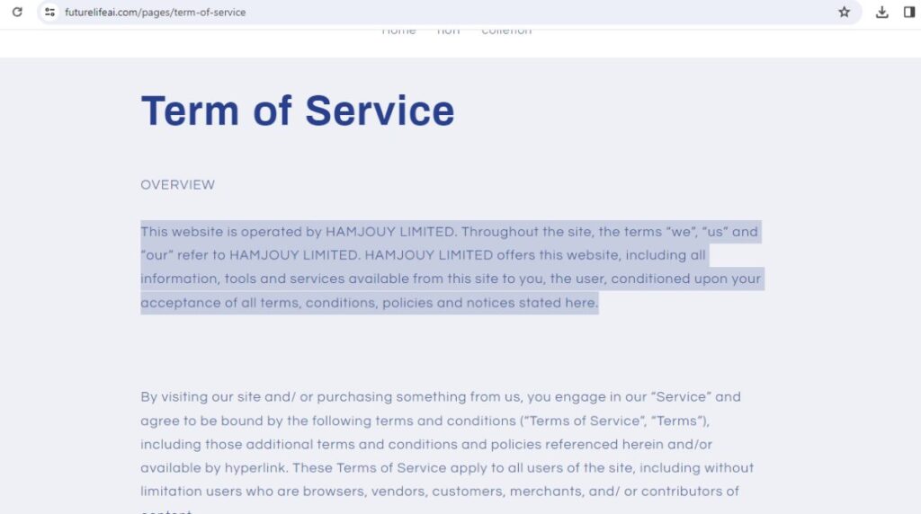 Futurelifeai website layout