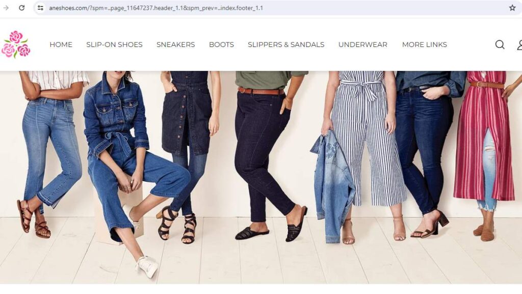 An authentic review about Aneshoes being Scam Or Genuine!