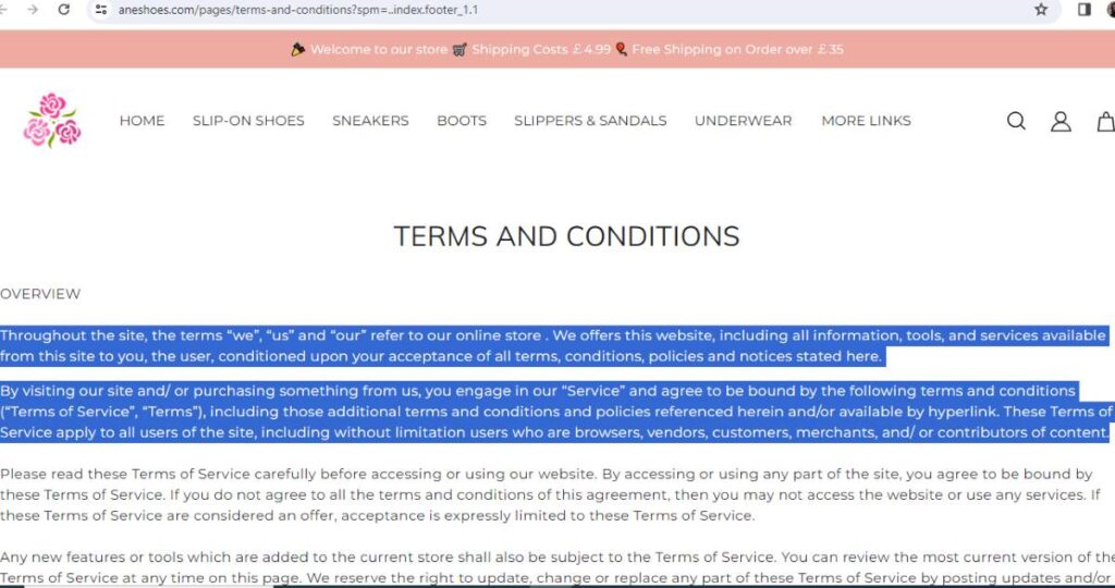 Aneshoes website layout