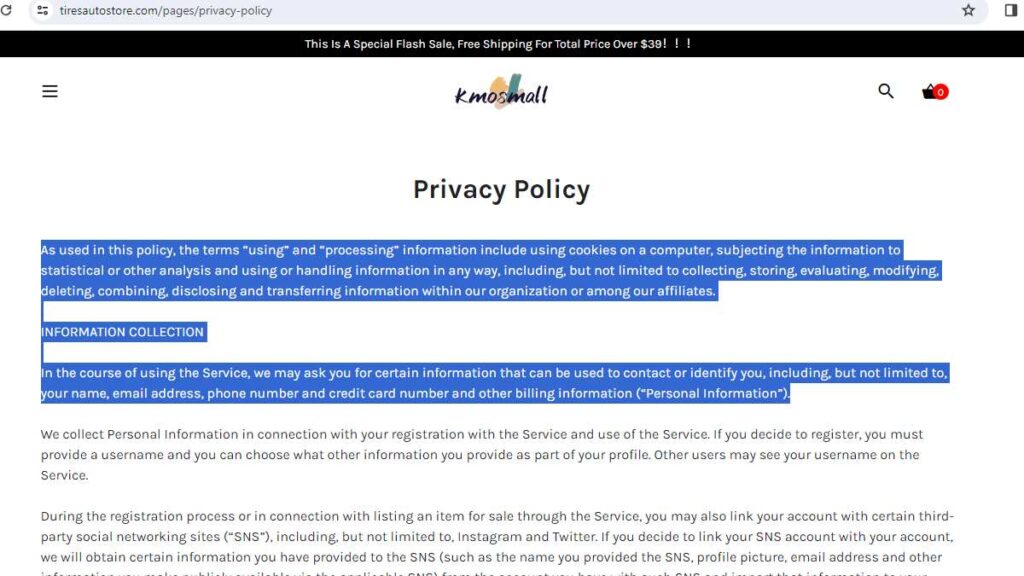 Tiresautostore website layout.